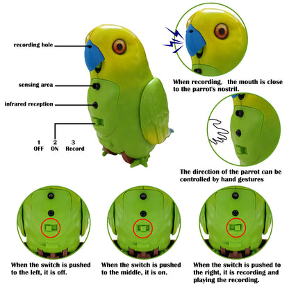 Talking And Singing Toy Parrot For Kids singing educational toy